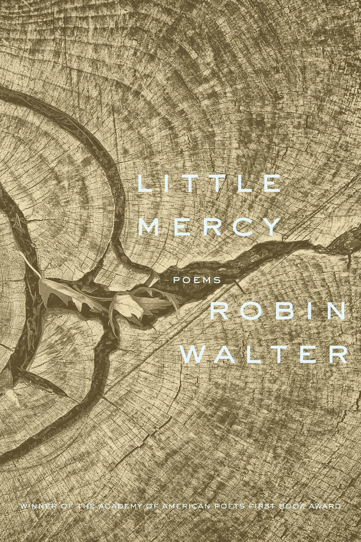 Little Mercy by Robin Walter